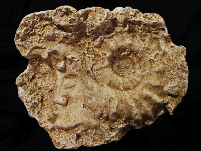 fossil-head-series-5